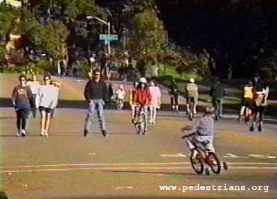 Photo - Bicyclists, pedestrians, and skaters in Golden Gate Park (11663 bytes)