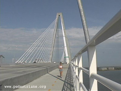 Cooper River Bridge