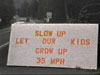 Photo - Problems with speeding and reckless drivers in Moose Pass, Alaska. 